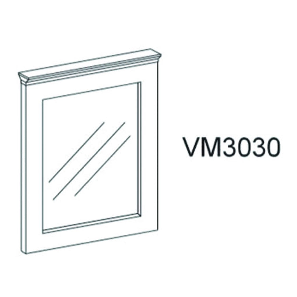 ISG-VM3030
