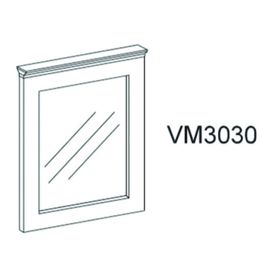 ISG-VM3030