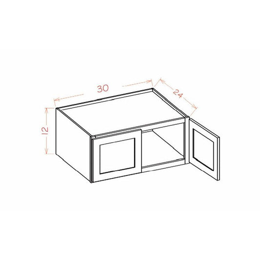 ICSW-W301224