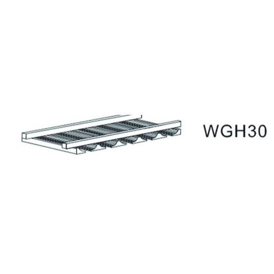 ISG-WGH30
